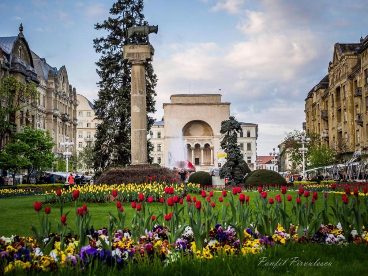 Premium Timisoaraアパートメント エクステリア 写真