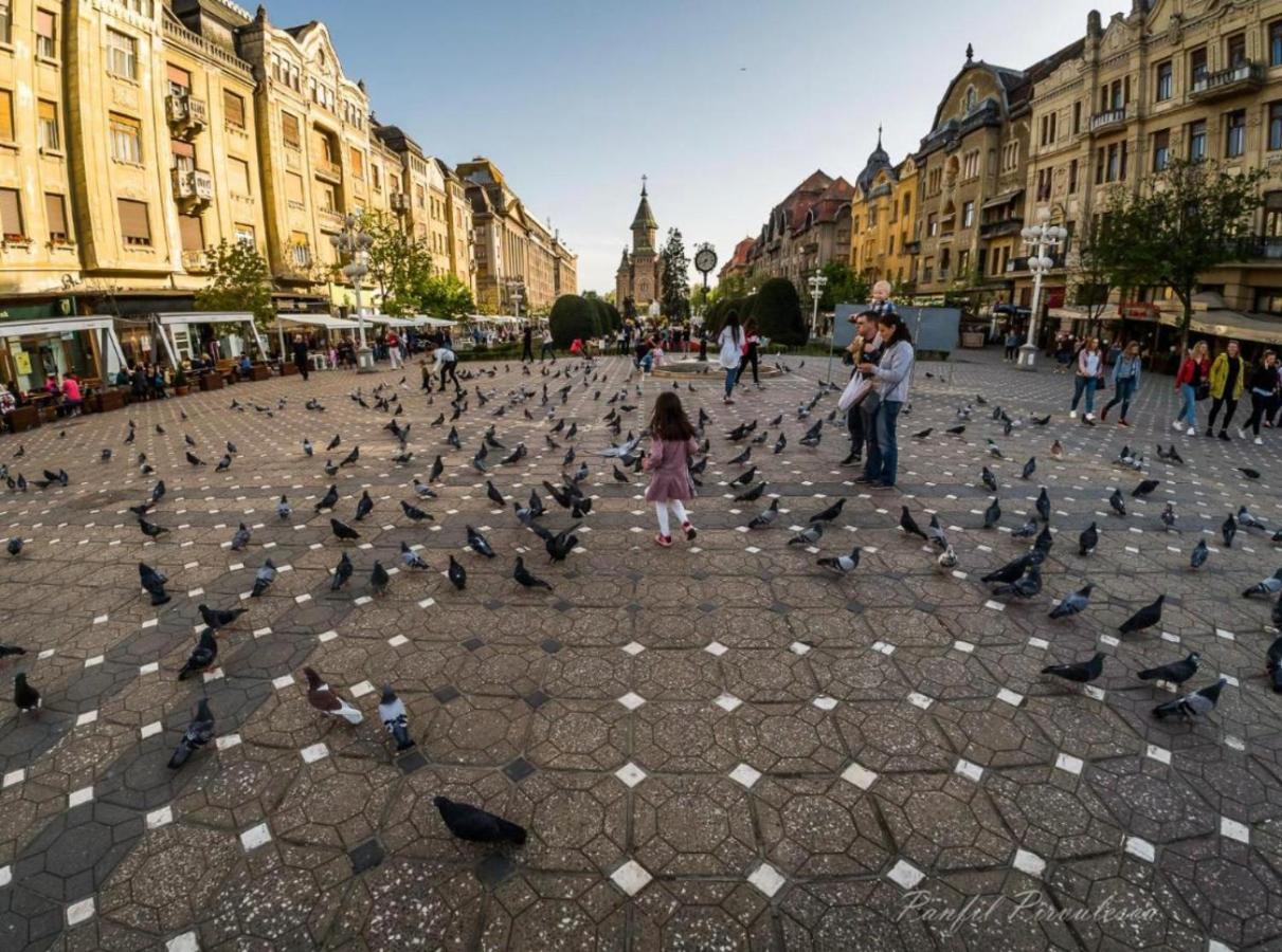 Premium Timisoaraアパートメント エクステリア 写真